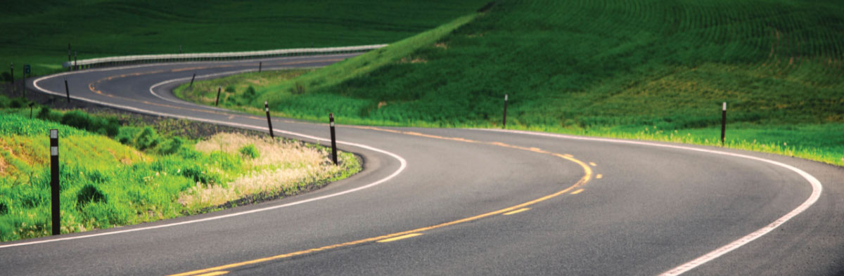 Global Status Report on Road Safety